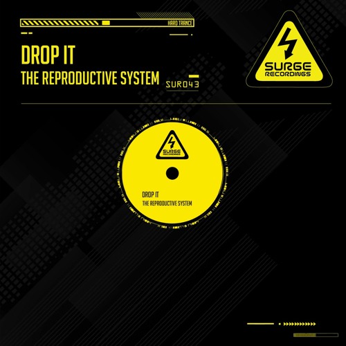SUR043 The Reproductive System - Drop It