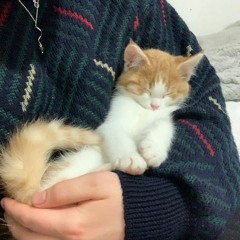 WESTWOOD QUEEN SOUNCLOUD EDITION