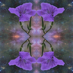 Inner Soul