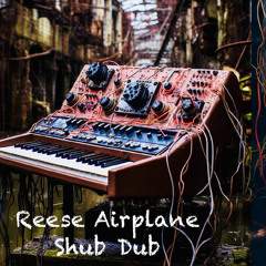 Shub Dub – Reese Airplane