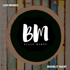 Luis Mendez - Moonlit Night (Extended Mix)