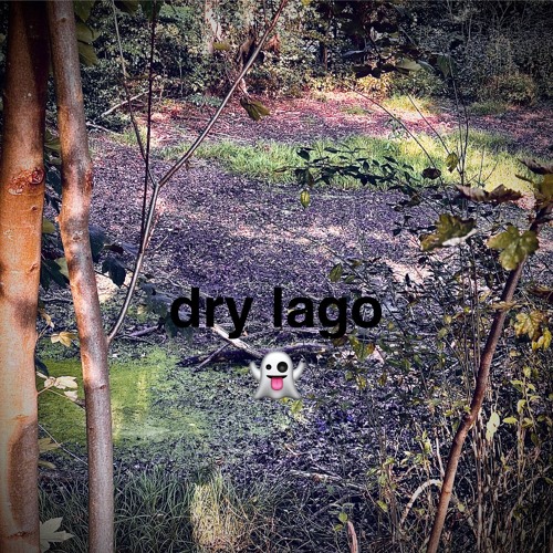 REC-2025 036PA dry lago