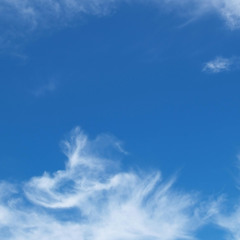 Russ Ryan - 02 March 2025