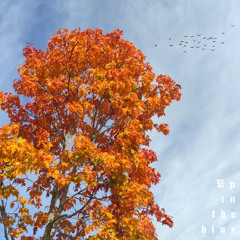 Up in the blue (prod. everestdidthis)