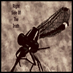 Right Side Of The Truth /with Single Use And Recycled