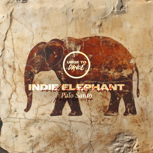 Indie Elephant & Double O - Monkey (Original Mix) [Snippet]