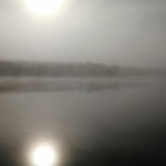 Absent Near Dawn
