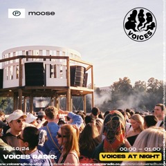 Moose - 18/10/2024