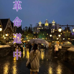 革命道中_ぼちcover