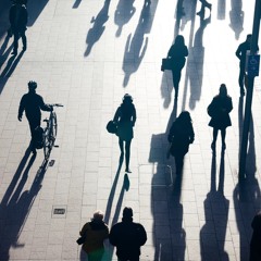 Shadows