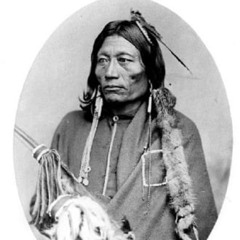Apache Elite