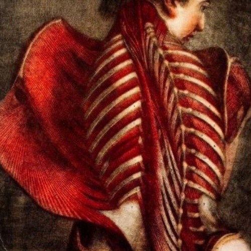 Slattuhs - putrid ideation 12 KLICKAUD