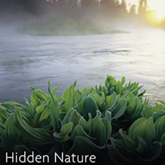 [Get] KINDLE 📧 Hidden Nature: The Startling Insights of Viktor Schauberger by  Alick