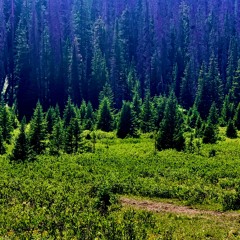 Space Within (Dance Version)