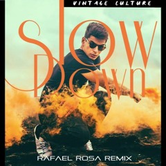 Slow Down - Vintage Culture ( Rafael Rosa Remix )