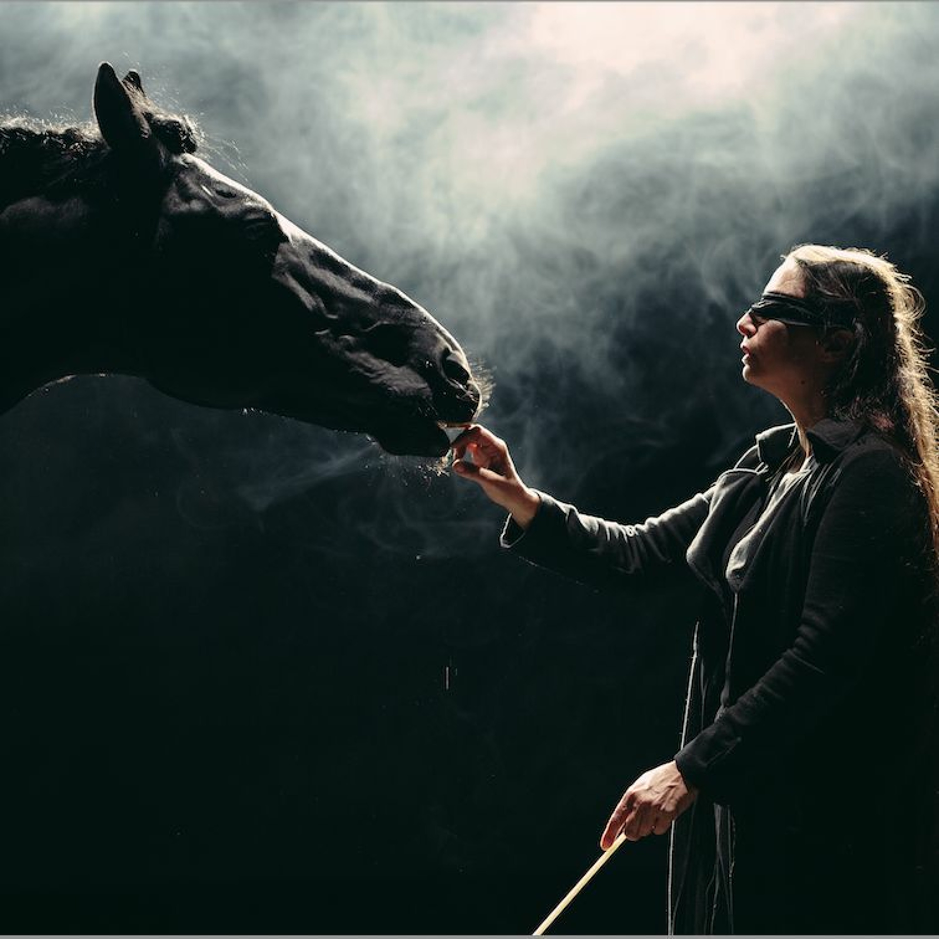 Camille – Artiste Centaure