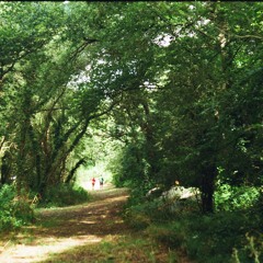 what do you see when you're alone?