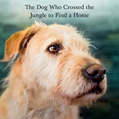 [Read] EBOOK 📍 Arthur: The Dog who Crossed the Jungle to Find a Home by  Mikael Lind