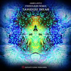 Finnegans Excessive Wake