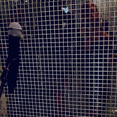 [sounding for the last round]