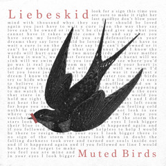 Love Should Be Loved Again (Muted Birds Edit) [feat. Christian Pensel]