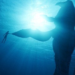 384 - Avatar: The Way of Water - Second Screening
