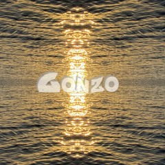 Gonzo | RBMS002