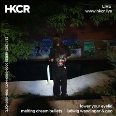 lower your eyelid, melting dream bullets - ludwig wandinger & geo - 28/11/2024
