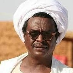 السايقي واصلي محمد الحسن سالم حميد