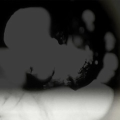 Jean D.L. & Otto Lindholm - Apophenia I