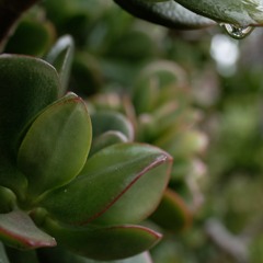 2025-11-30_TheDoctrineOfGodRevealedThroughChristPt11y