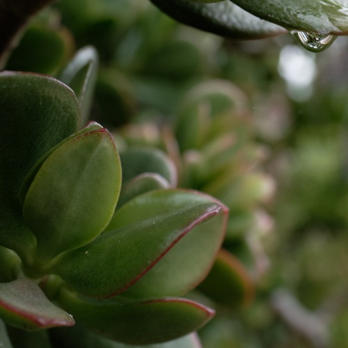 2025-11-30_TheDoctrineOfGodRevealedThroughChristPt11y