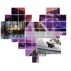 fragile w/ seph (scirpy)