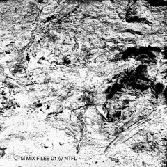 CTM MIX FILES 01 /// NTFL