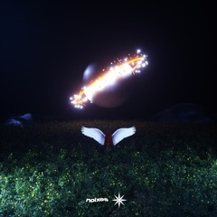 NOIXES - Never
