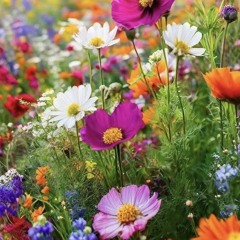 Hoy_Te_Amo_A_Ti_Señor, Mas Que Otros Dias 🌺🎻🎶 Lord I Love You, More Today Than Any Other 🌺🎻🎶