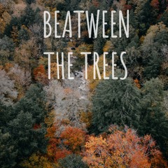Beatween the Trees | November 2021