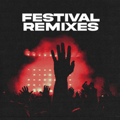 Festival Remixes | Best Festival Remixes with Bass Drops, Festivalremixes, Remixes from Festivals