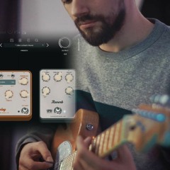 Jake Bowen Loop Neural Tone King