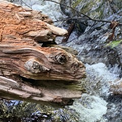 Rainy Day Dance Floor