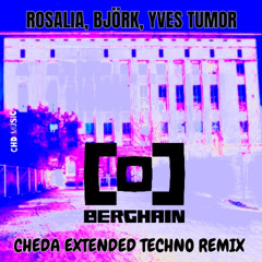 BERGHAIN (ROSALIA. BJORK. YVES TUMOR) CHEDA TECHNO EXTENDED REMIX