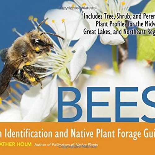 GET EPUB 🖍️ Bees: An Identification and Native Plant Forage Guide by  Heather N. Hol