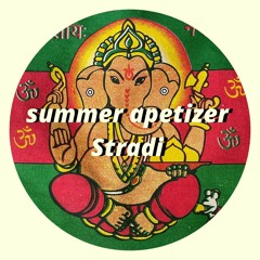 summer apetizer - disco house mixtape