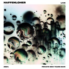 2023-12-31 Haffenloher Live @ Private New Years Rave 135bpm