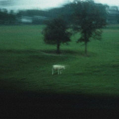 aureve & t4rinka - ill wait for 1000 years