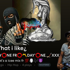 What_i_like_Remix