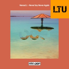 Premiere: Nenad J. - Never Say Never Again (FreedomB Remix) | Piston Recordings