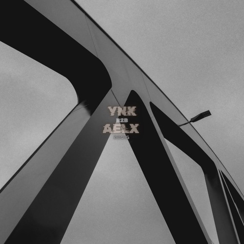 Dancefloor Diaries 16 - ynk B2B AELX (Garage Nord, Hannover @SYN x Garage Nord) [DD016]