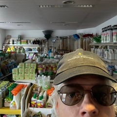 Wirginia the Fool - Radio Bollwerk - 14.03.2026