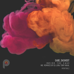 Inside the Cage (Original Mix)